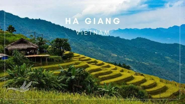 Ha Giang - Viet Nam 