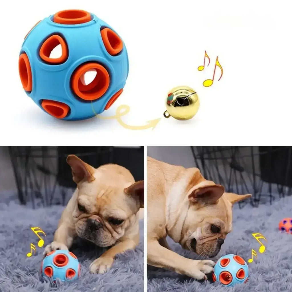 balle-pour-chien-bleue-clochette_7c824337-8fd1-4de0-a1e5-8b46140f4855 - linhnguyen5