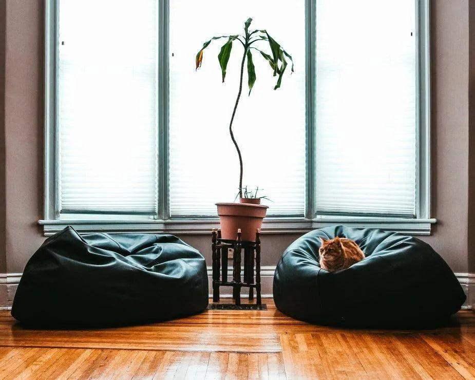 black-beanbag-linhnguyen5 - linhnguyen5
