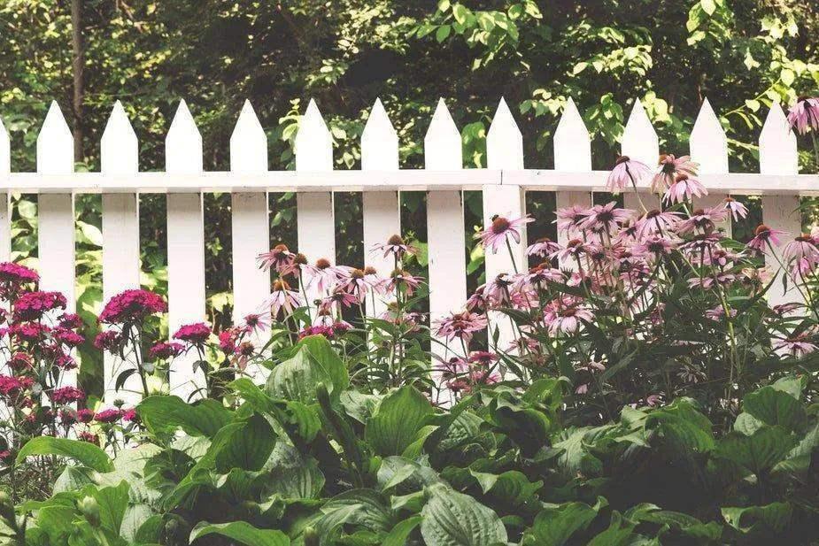 wooden-fence-linhnguyen5 - linhnguyen5