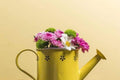 yellow-watering-can-linhnguyen5 - linhnguyen5